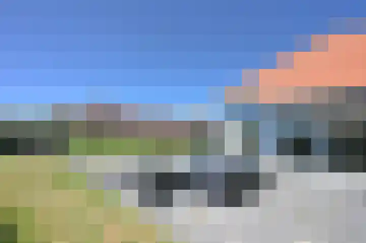 Stormvogel 16 Zoutelande thumbnail 21