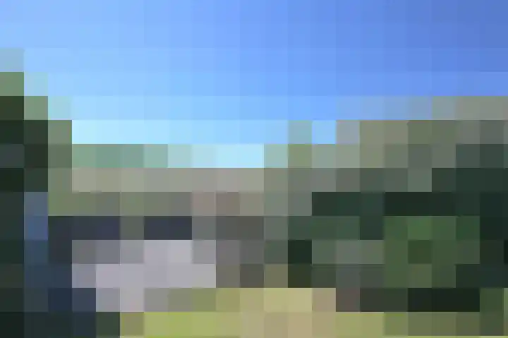 Stormvogel 16 Zoutelande thumbnail 22
