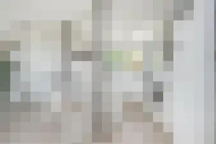 Stormvogel 16 Zoutelande thumbnail 25