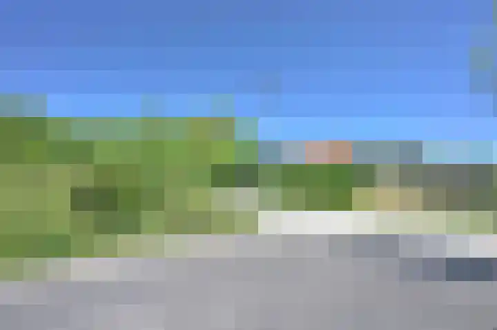 Stormvogel 16 Zoutelande thumbnail 26