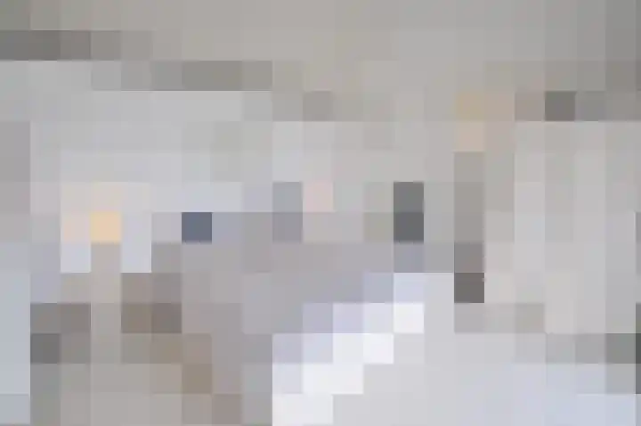 Stormvogel 16 Zoutelande thumbnail 28
