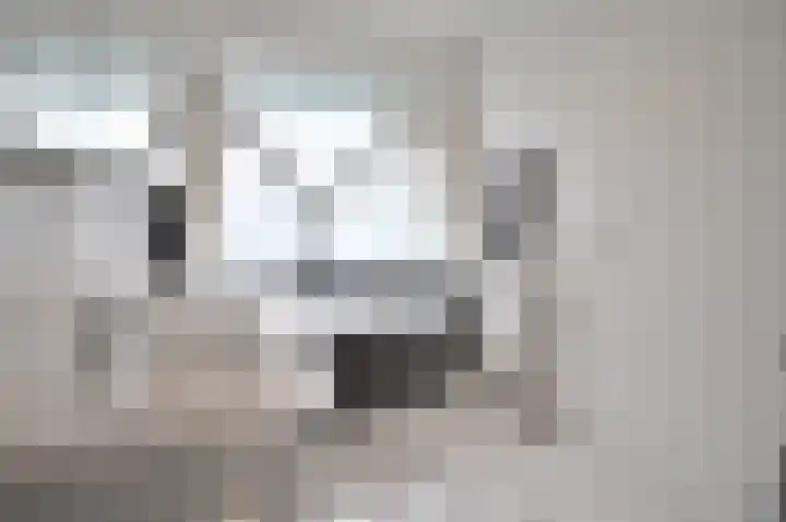 Stormvogel 16 Zoutelande thumbnail 29