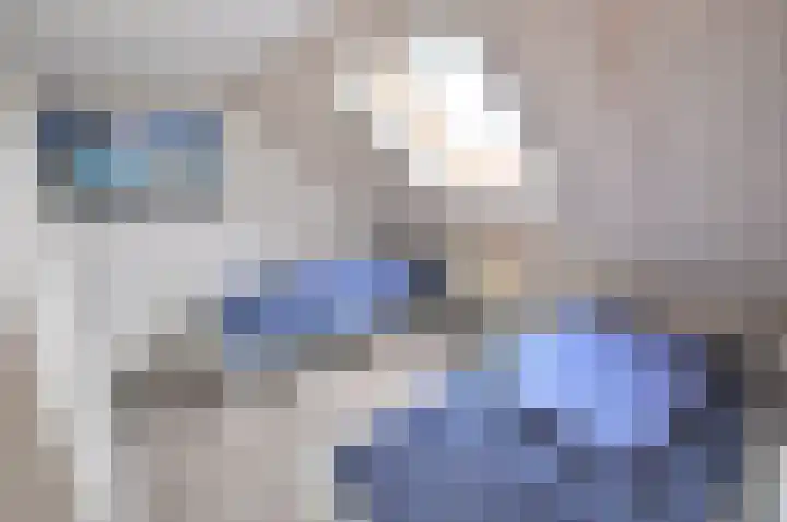 Stormvogel 16 Zoutelande thumbnail 36