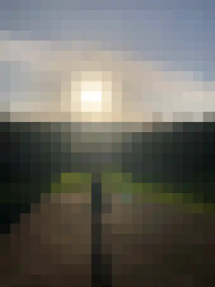 Stormvogel 16 Zoutelande thumbnail 39