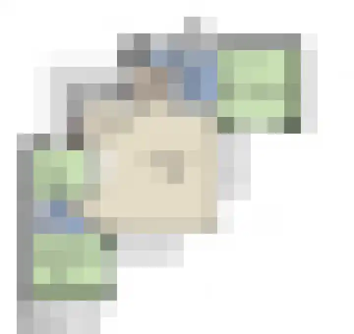 Stormvogel 16 Zoutelande thumbnail 43