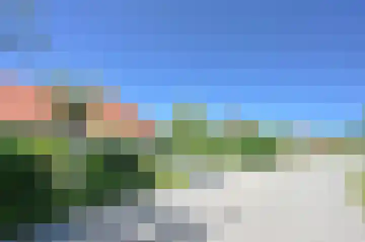 Stormvogel 16 Zoutelande thumbnail 6