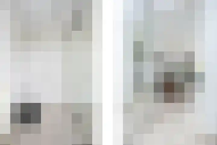 Stormvogel 16 Zoutelande thumbnail 8