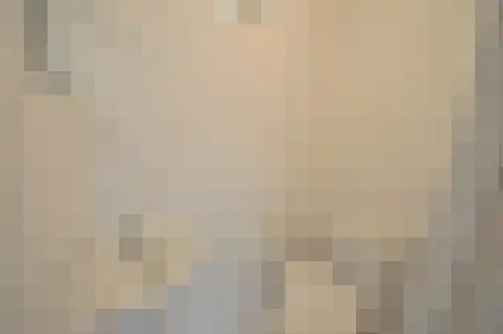 Stormvogel 16 Zoutelande thumbnail 9