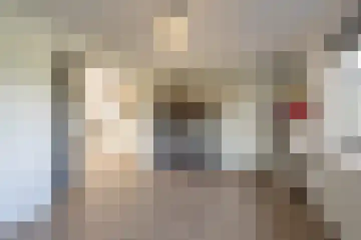 Stougjesdijk 96 Westmaas thumbnail 20