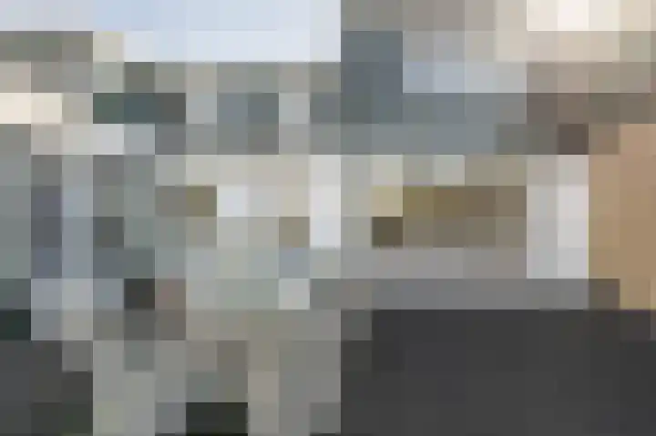 Stougjesdijk 96 Westmaas thumbnail 32