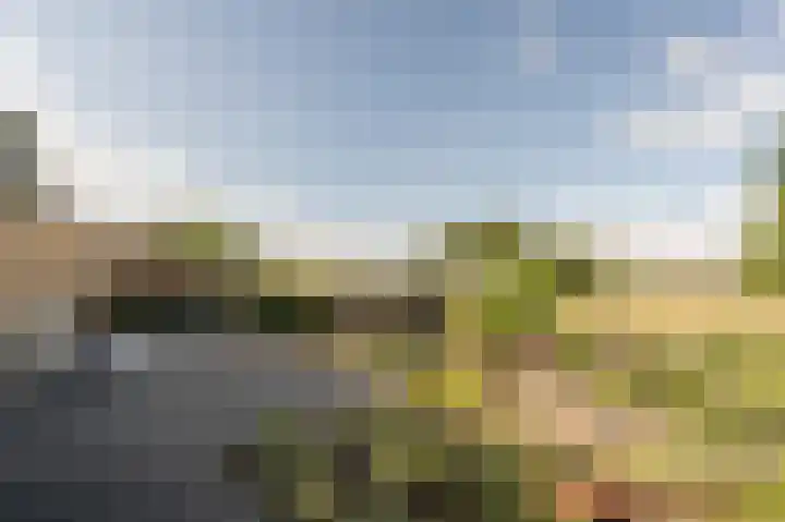 Stougjesdijk 96 Westmaas thumbnail 33