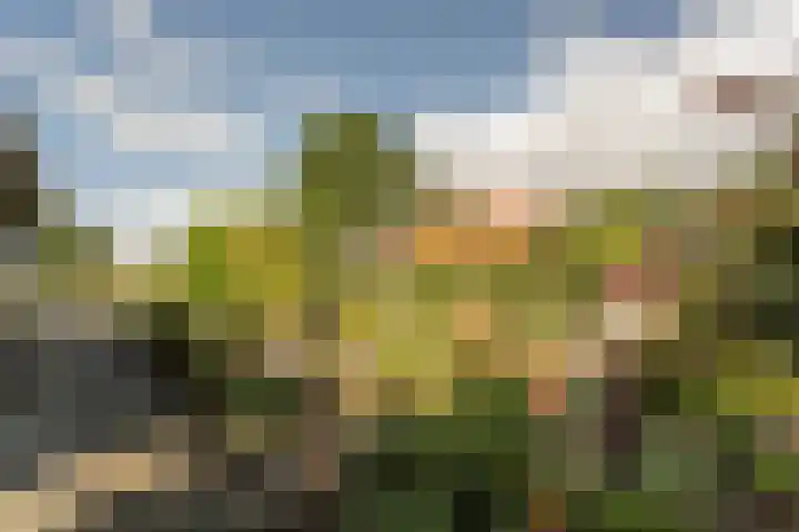 Stougjesdijk 96 Westmaas thumbnail 34
