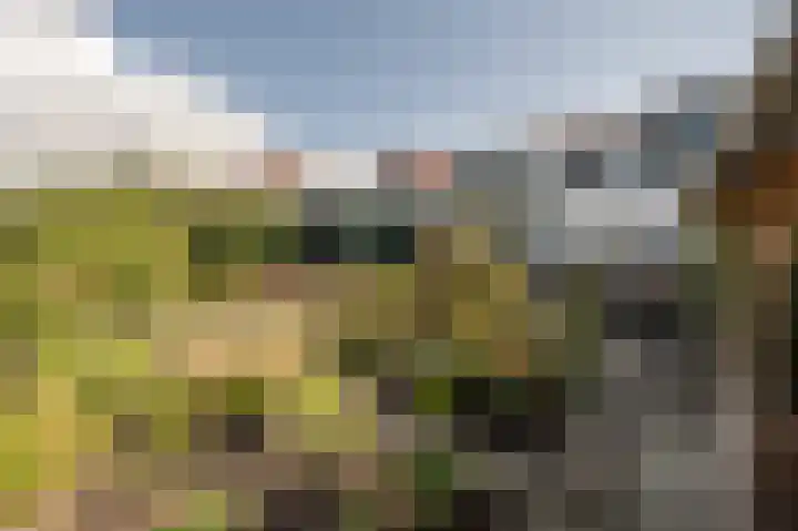 Stougjesdijk 96 Westmaas thumbnail 36