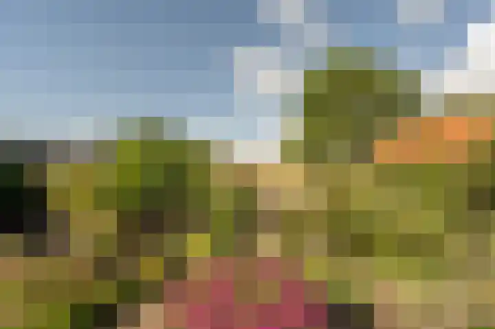 Stougjesdijk 96 Westmaas thumbnail 37