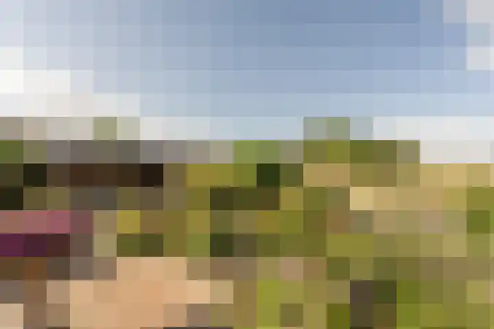 Stougjesdijk 96 Westmaas thumbnail 38