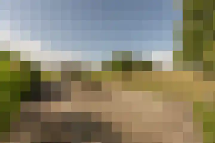 Stougjesdijk 96 Westmaas thumbnail 39