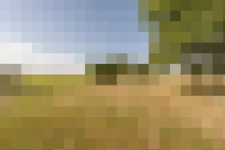 Stougjesdijk 96 Westmaas thumbnail 40