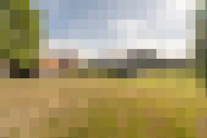 Stougjesdijk 96 Westmaas thumbnail 41