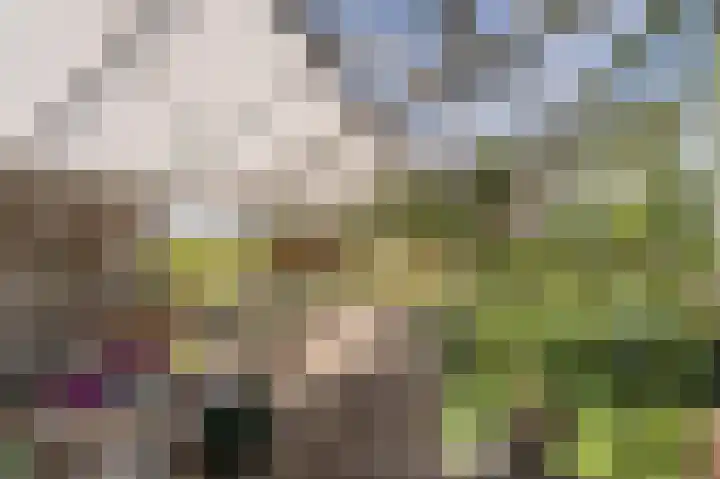Stougjesdijk 96 Westmaas thumbnail 42