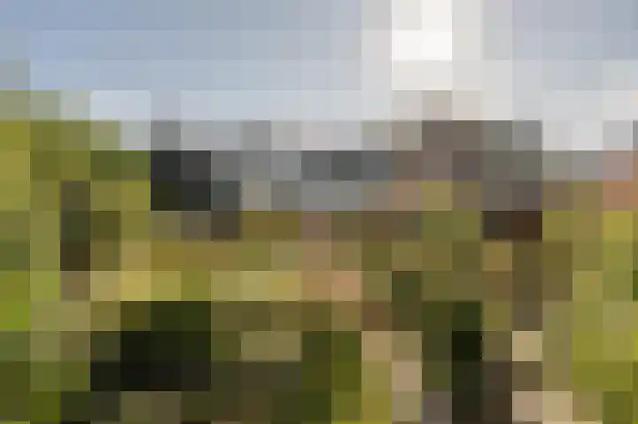 Stougjesdijk 96 Westmaas thumbnail 43