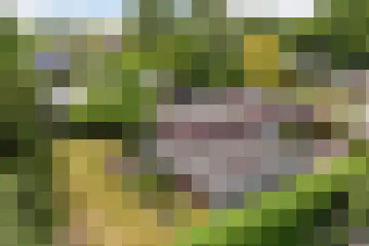 Stoukamp 6 Bakkeveen thumbnail 29