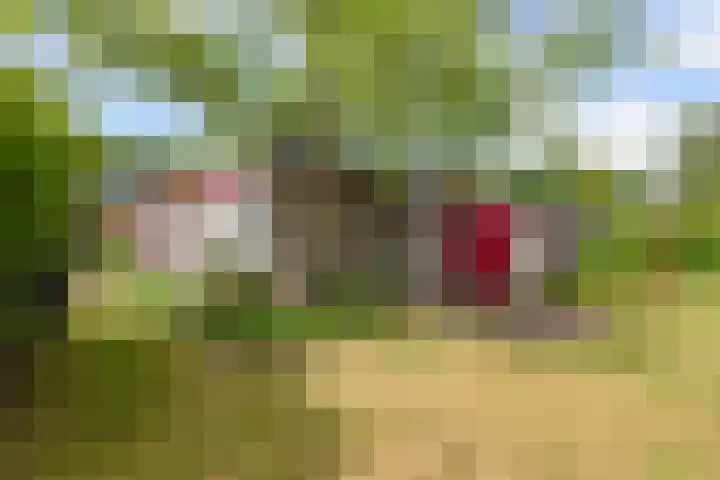 Stoukamp 6 Bakkeveen thumbnail 31
