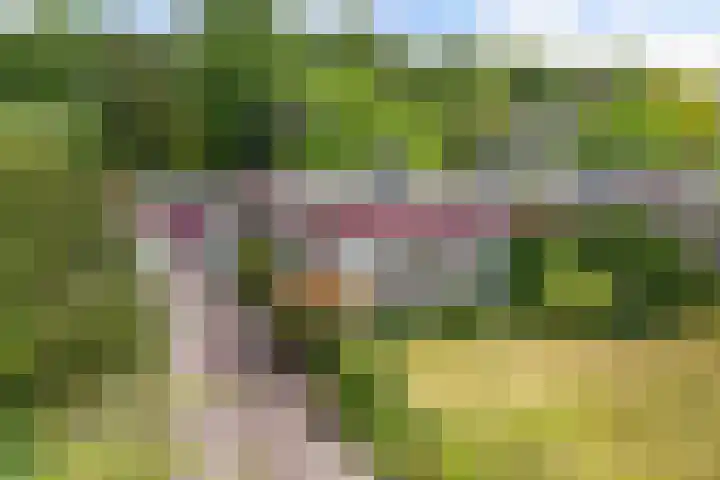 Stoukamp 6 Bakkeveen thumbnail 36