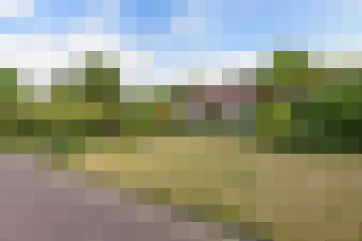 Stoukamp 6 Bakkeveen thumbnail 37