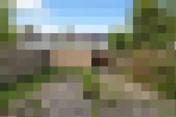 Straat Soenda 21 Veendam thumbnail 32