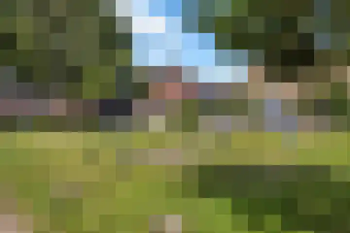 Straat Soenda 21 Veendam thumbnail 36