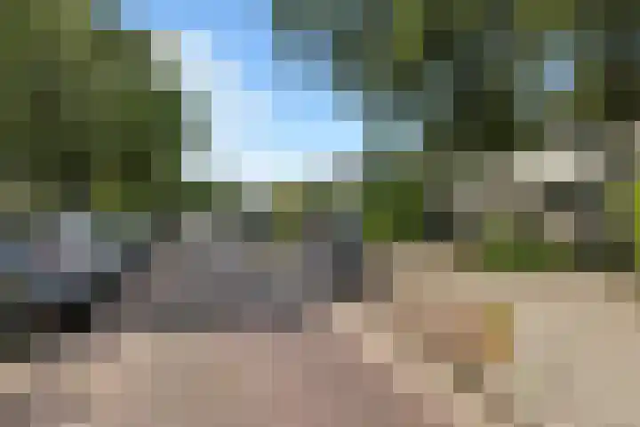 Straat Soenda 21 Veendam thumbnail 5