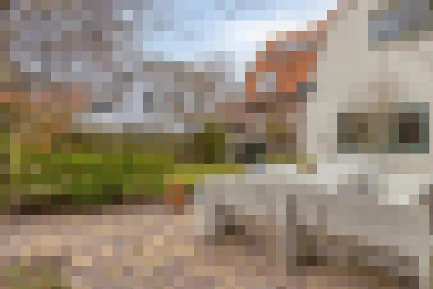 Straat ter Leede 2 Warmond thumbnail 48