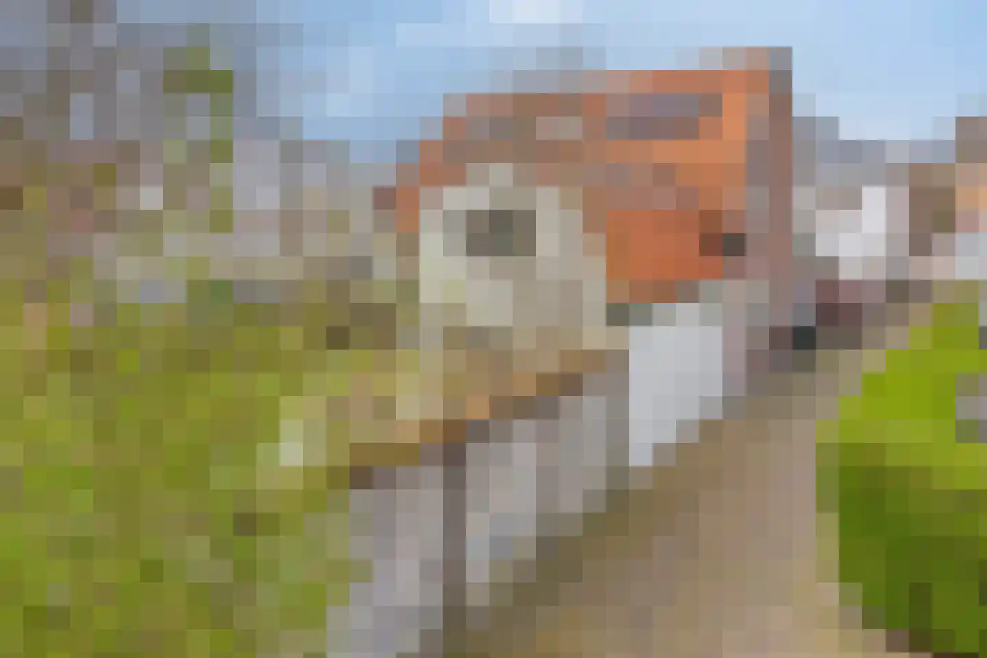 Straat ter Leede 2 Warmond thumbnail 50