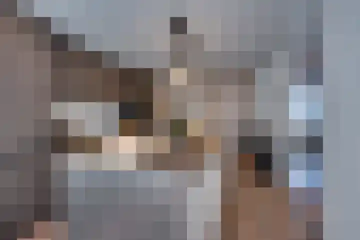 Straatdijk 1 Dirksland thumbnail 9