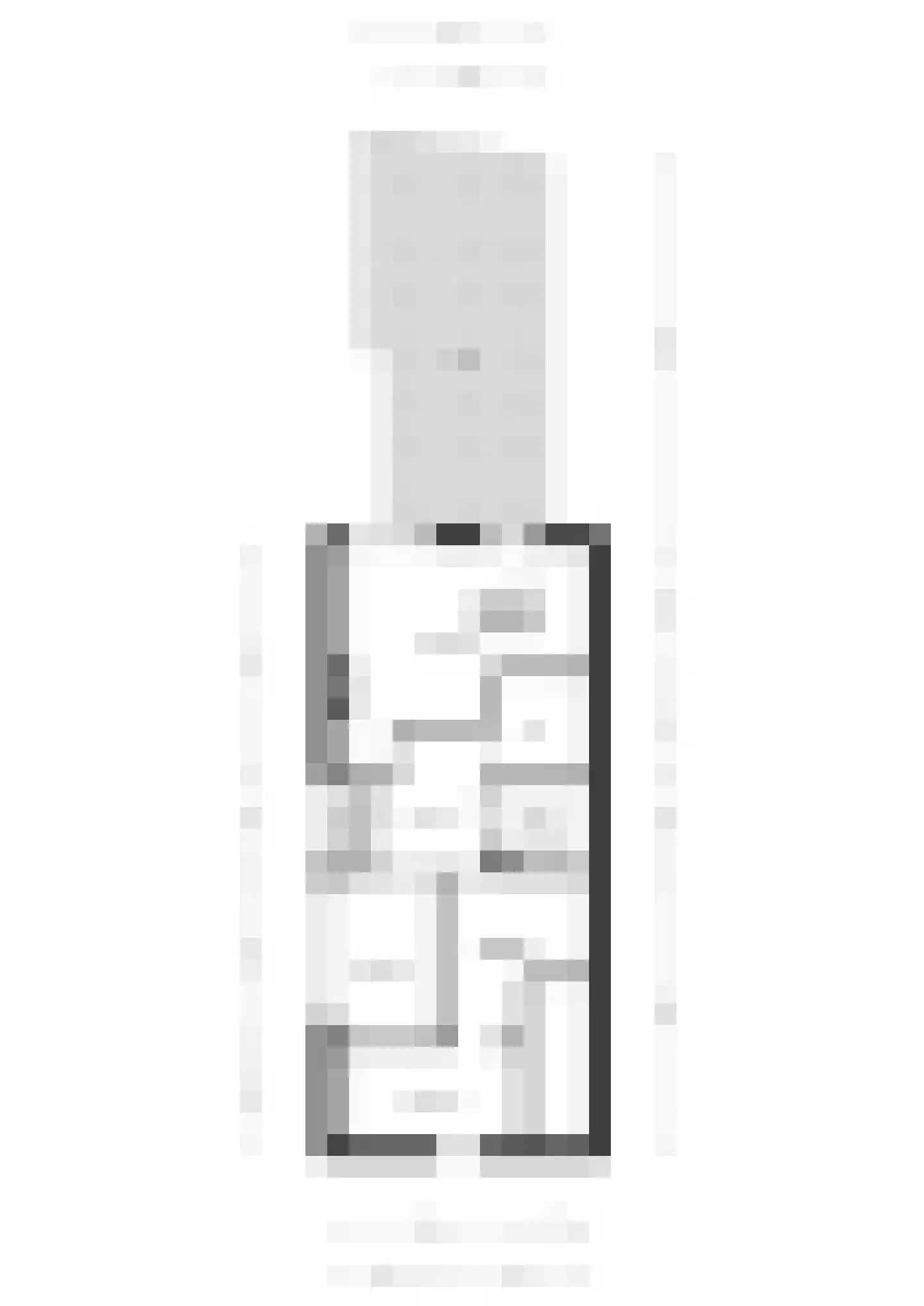 Straatdijk 14 Dirksland thumbnail 53