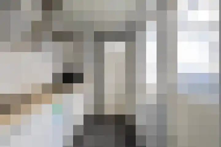 Straatdijk 45 Dirksland thumbnail 10