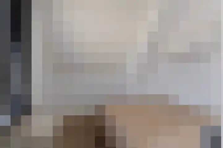 Straatdijk 45 Dirksland thumbnail 20