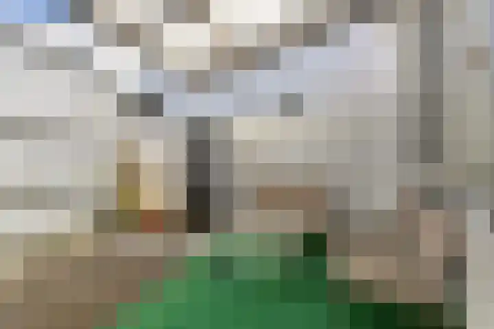 Straatdijk 45 Dirksland thumbnail 25