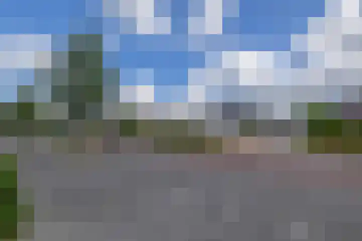 Straatdijk 45 Dirksland thumbnail 4