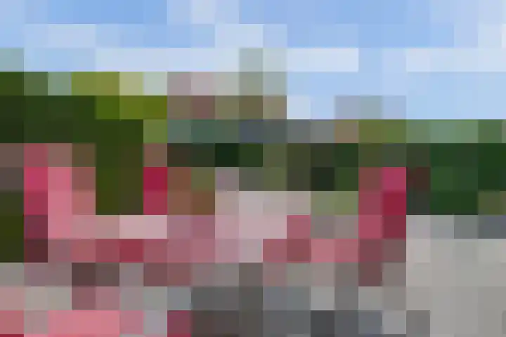 Straatgras 10 Zeewolde thumbnail 30