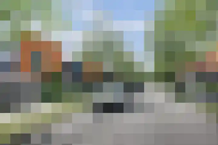 Straatgras 10 Zeewolde thumbnail 36