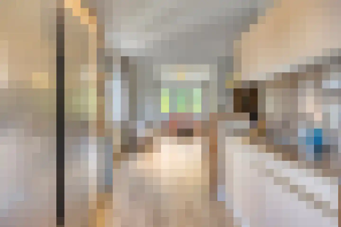 Strabeek 14 Valkenburg thumbnail 18