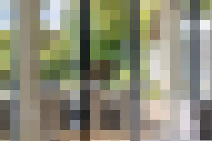 Strampenstraat 12 Delden thumbnail 11