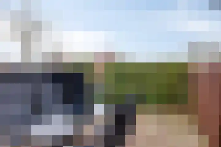 Strand 11 Zoutelande thumbnail 14
