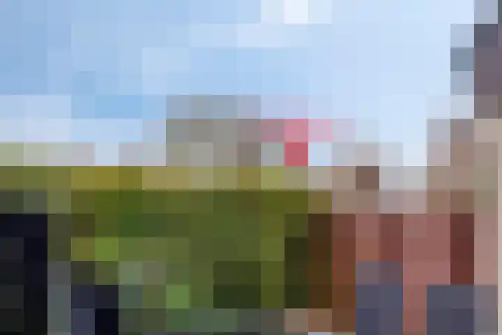Strand 11 Zoutelande thumbnail 16