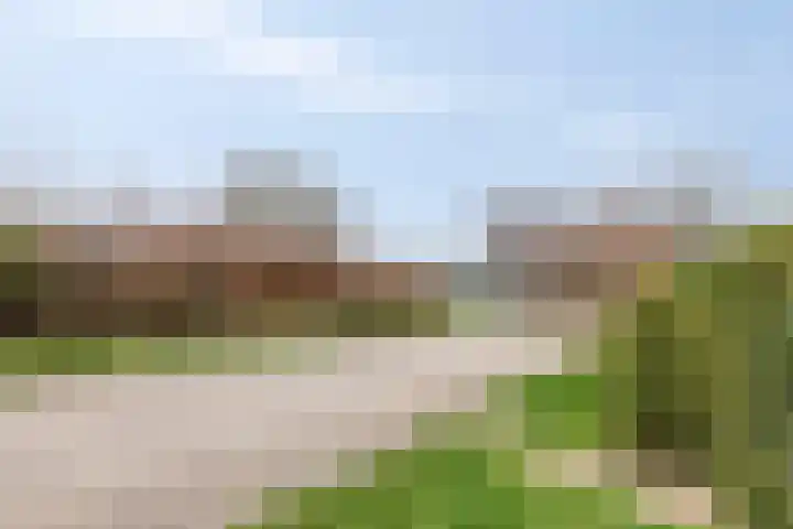 Strand 11 Zoutelande thumbnail 17