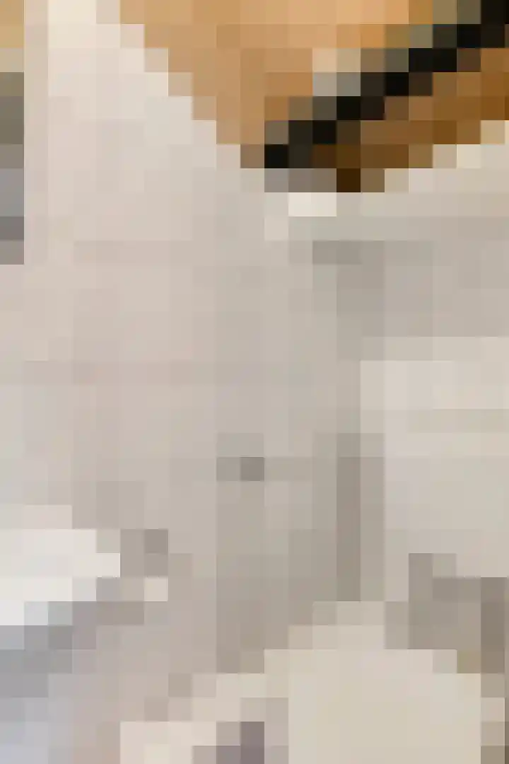 Strand 11 Zoutelande thumbnail 25