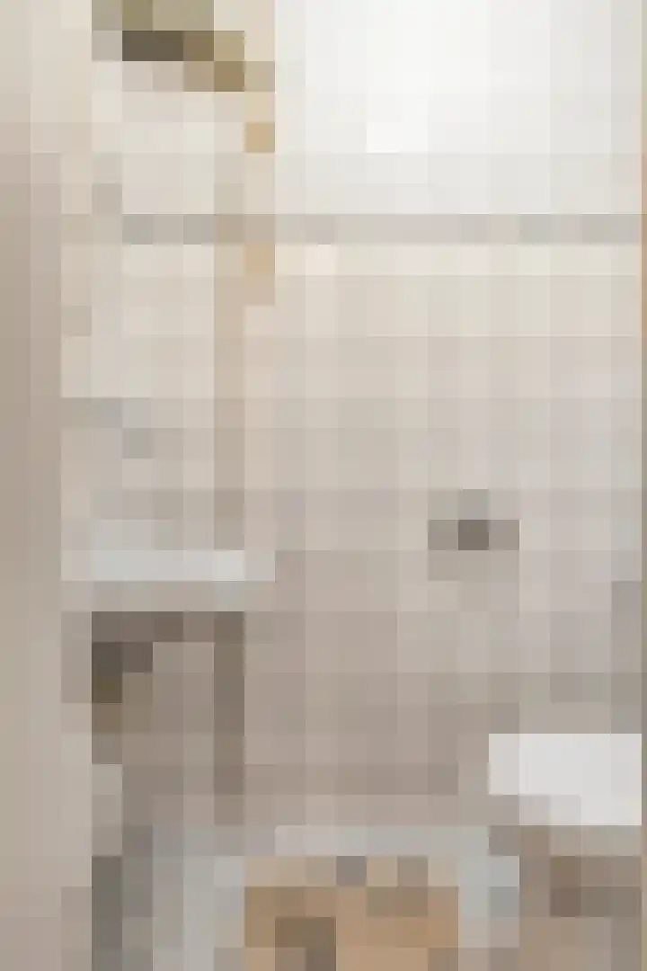 Strand 11 Zoutelande thumbnail 9