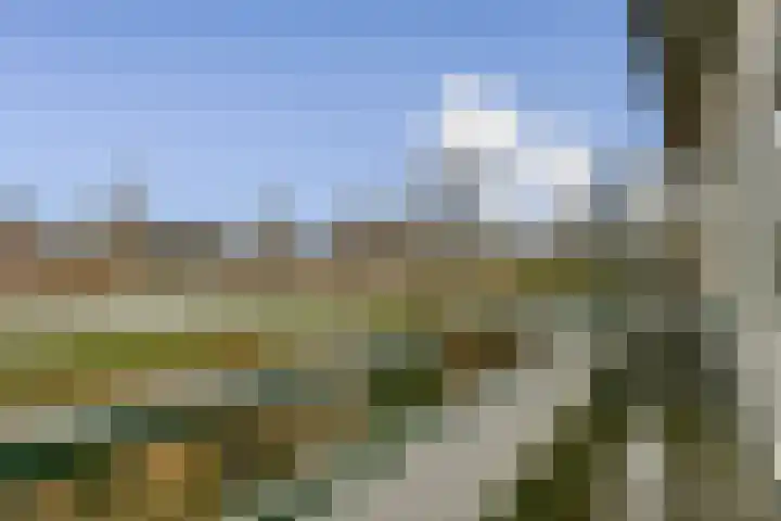 Strand 18 Lelystad thumbnail 16