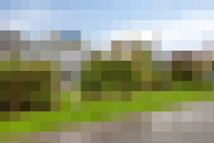 Strand 3 Zoutelande thumbnail 12